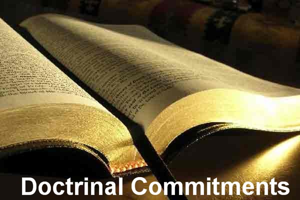 Doctrinal-Commitments